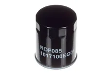 Салонный фильтр RAF FILTER ROF085