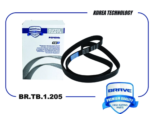BRAVE BR.TB.1.205