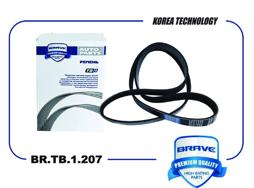 BRAVE BR.TB.1.207
