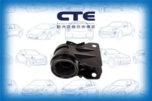 Рычаг подвески CTE CBH03098L