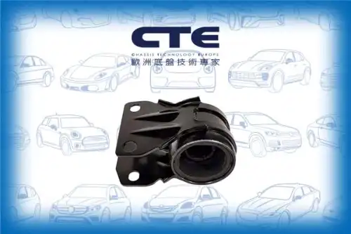Рычаг подвески CTE CBH03098R