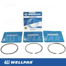 Кольца поршневые WELLFAR 005-501881-000
