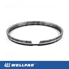 Кольца поршневые WELLFAR 005-501881-000