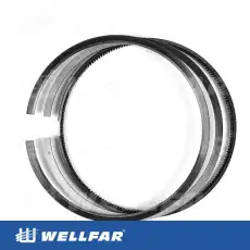Кольца поршневые WELLFAR 005-501881-000