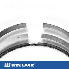 Кольца поршневые WELLFAR 005-501881-000