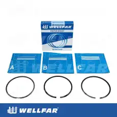 Кольца поршневые WELLFAR 005-501591-000