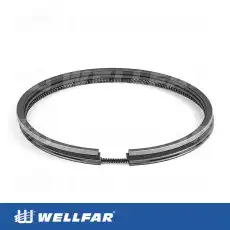 Кольца поршневые WELLFAR 005-501591-000