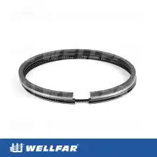 Кольца поршневые WELLFAR 005-501071-000