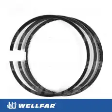 Кольца поршневые WELLFAR 005-501071-000