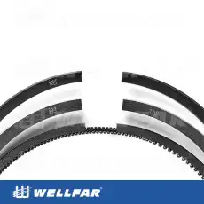 Кольца поршневые WELLFAR 005-501071-000