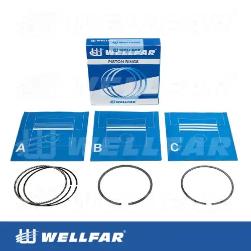 Кольца поршневые WELLFAR 005-504690-025