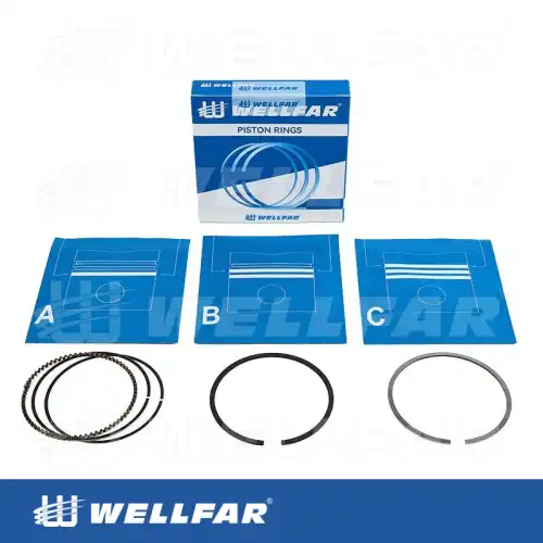 Кольца поршневые WELLFAR 005-500790-100