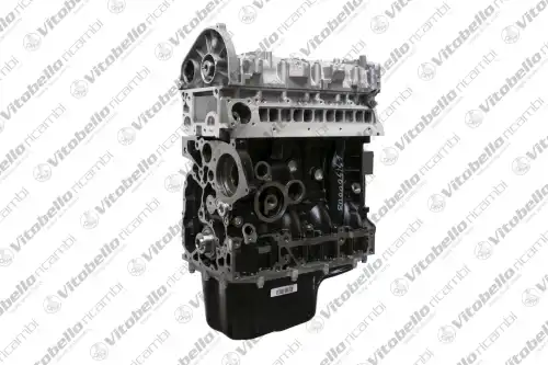 Двигатель в сборе 1005651N VITOBELLO RICAMBI