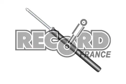 Амортизатор 103601 RECORD