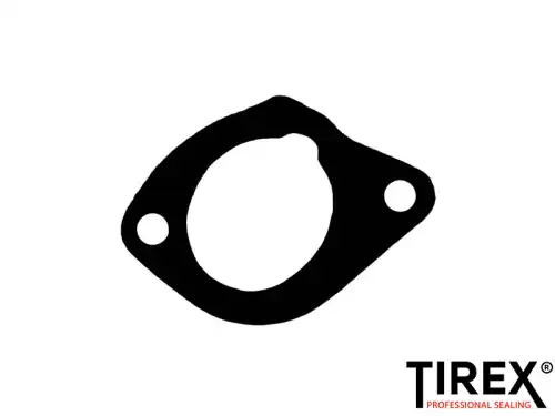 Прокладка коллектора TIREX AA01058