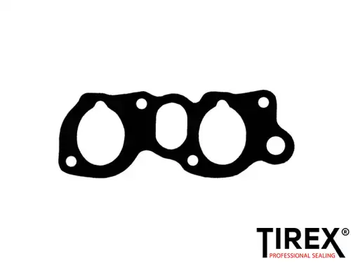 Прокладка коллектора TIREX AA01059