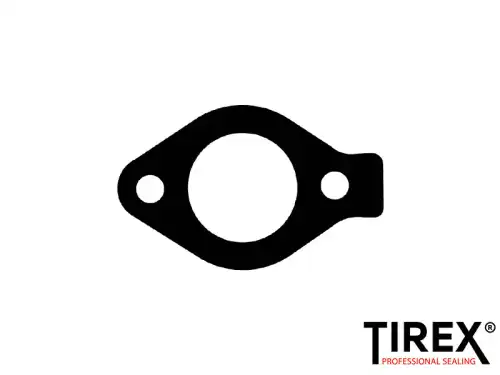Прокладка термостата AW01639 TIREX