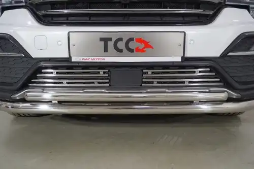 Решетка радиатора ТСС GACGS821-04