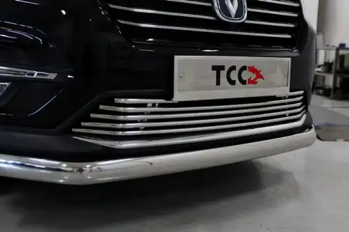 Решетка радиатора ТСС CHANCS7520-12