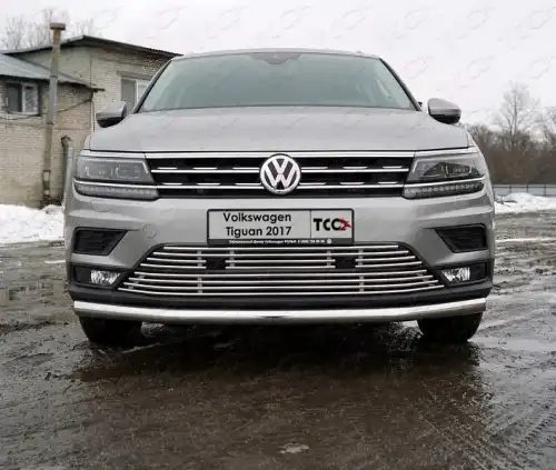 Решетка радиатора ТСС VWTIG17-60