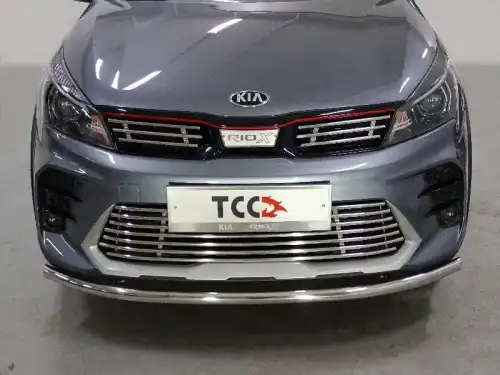 Решетка радиатора ТСС KIARIOX20-15