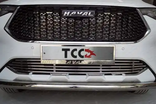 Решетка радиатора ТСС HAVF719-18