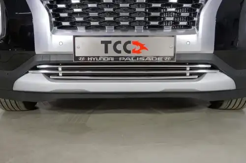 Решетка радиатора ТСС HYUNPAL21-21