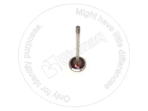 КЛАПАН ВПУСКНОЙ KS22307 ST BLUMAQ