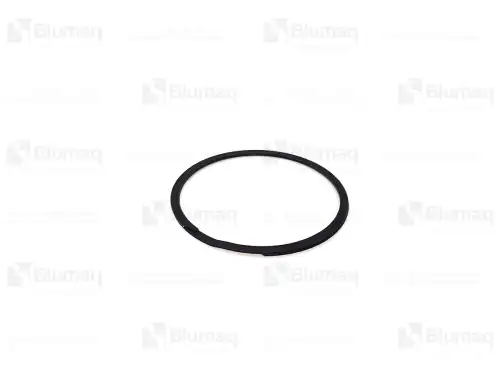 Кольцо уплотнительное автомобильное BLUMAQ 2711440 OE