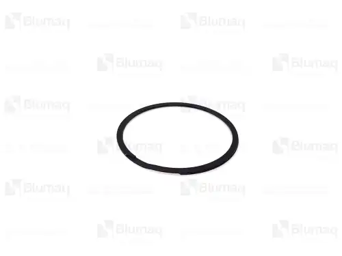 Кольцо уплотнительное автомобильное BLUMAQ 4345544 OE