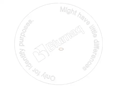 МЕТАЛЛИЧЕСКАЯ ПРОКЛАДКА 900.02131 ST BLUMAQ