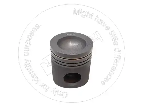 ПОРШЕНЬ 901.00169 ST BLUMAQ