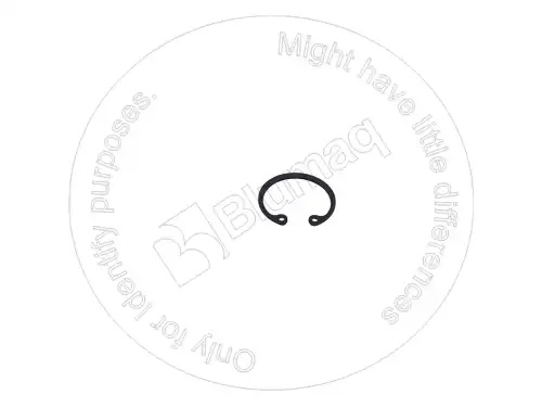 ПРУЖИННОЕ КОЛЬЦО 900.03175 ST BLUMAQ