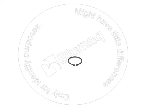 ПРУЖИННОЕ КОЛЬЦО 900.03004 ST BLUMAQ