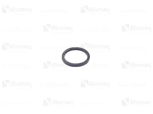 ПРУЖИННОЕ КОЛЬЦО EA504062710 BQ BLUMAQ