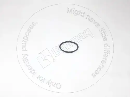 ПРУЖИННОЕ КОЛЬЦО 2295101 DE BLUMAQ