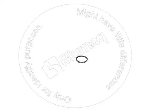 ПРУЖИННОЕ КОЛЬЦО PZF820510608 DE BLUMAQ