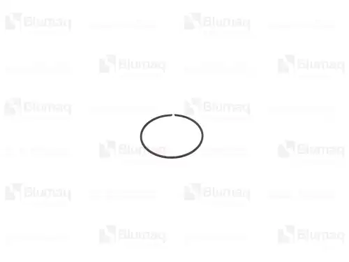 ПРУЖИННОЕ КОЛЬЦО 931731 OR BLUMAQ