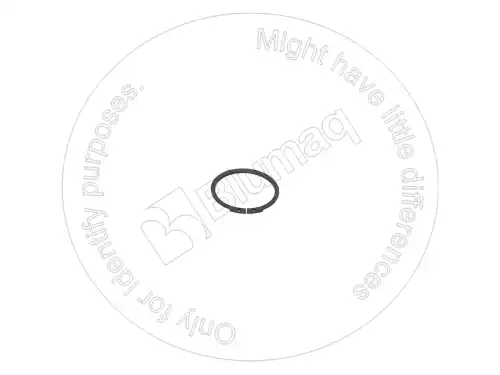 ПРУЖИННОЕ КОЛЬЦО 900.03174 ST BLUMAQ