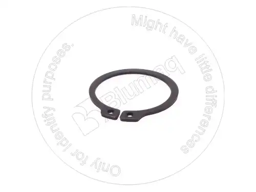 Кольцо гильзы BLUMAQ 002010074 OE
