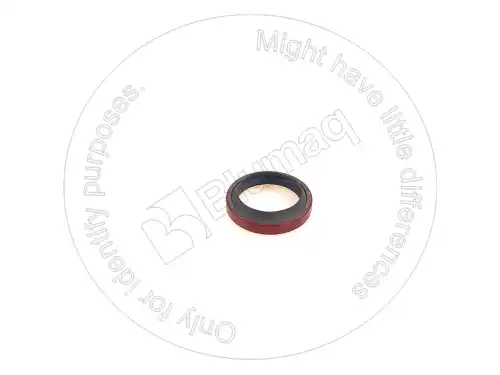 САЛЬНИК 7E4356 BQ BLUMAQ