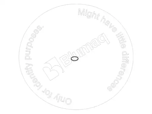 УПЛОТНИТЕЛЬНОЕ КОЛЬЦО WA0070 BQ BLUMAQ