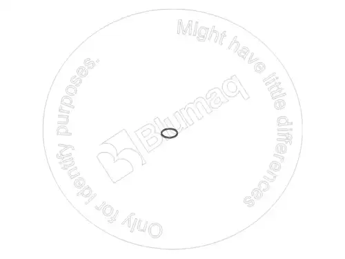 УПЛОТНИТЕЛЬНОЕ КОЛЬЦО 1M8317 OE BLUMAQ