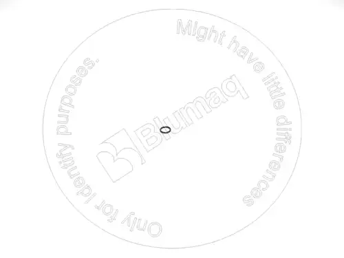 УПЛОТНИТЕЛЬНОЕ КОЛЬЦО VOE11707580 BQ BLUMAQ