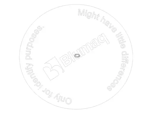 ШАЙБА 900.00693 ST BLUMAQ