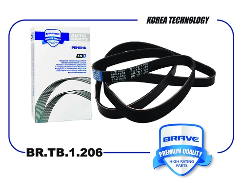 BRAVE BR.TB.1.206