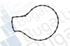 PA10196 Водяной насос BUGATTI