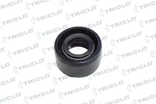 сальник КПП \VAG 672885 TRICLO
