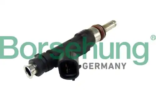 Клапанная форсунка B11166 BORSEHUNG