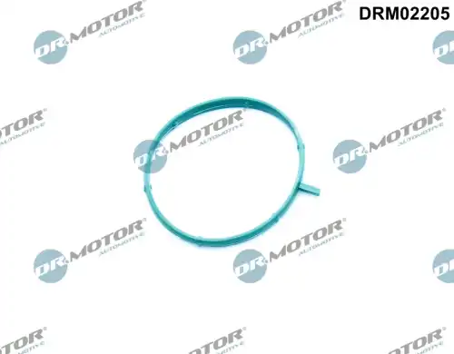 Прокладка, корпус термостата DRM02205 DR. MOTOR